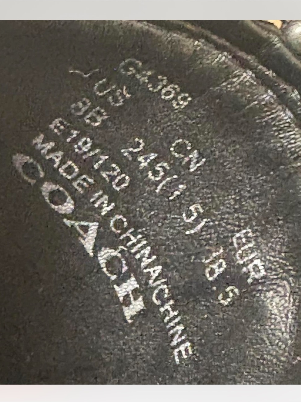 Coach Black Leather Studded Chelsea Ankle Boots - Picture 6 of 6